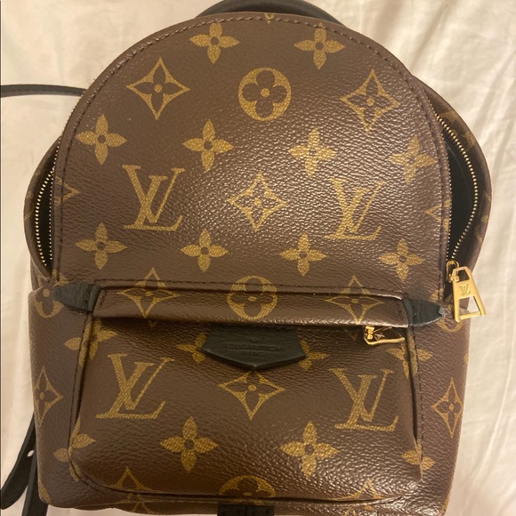 Louis Vuitton Palm Springs Mini Backpack - Picture 1 of 8
